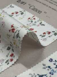 850523 SEVENBERRY® Broadcloth Coton Large Antique Di Canon[Fabrication De Textile] VANCET Sous-photo