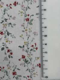850523 SEVENBERRY® Broadcloth Coton Large Antique Di Canon[Fabrication De Textile] VANCET Sous-photo