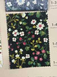 850525 SEVENBERRY® Broadcloth Coton Large Antique Day Berry Field[Fabrication De Textile] VANCET Sous-photo