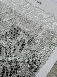 54331 Les Deux Chercheurs Cord Raschel[Fabrication De Textile] Parika Sous-photo