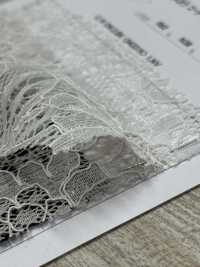 54331 Les Deux Chercheurs Cord Raschel[Fabrication De Textile] Parika Sous-photo