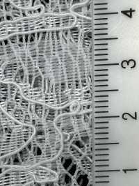 54331 Les Deux Chercheurs Cord Raschel[Fabrication De Textile] Parika Sous-photo