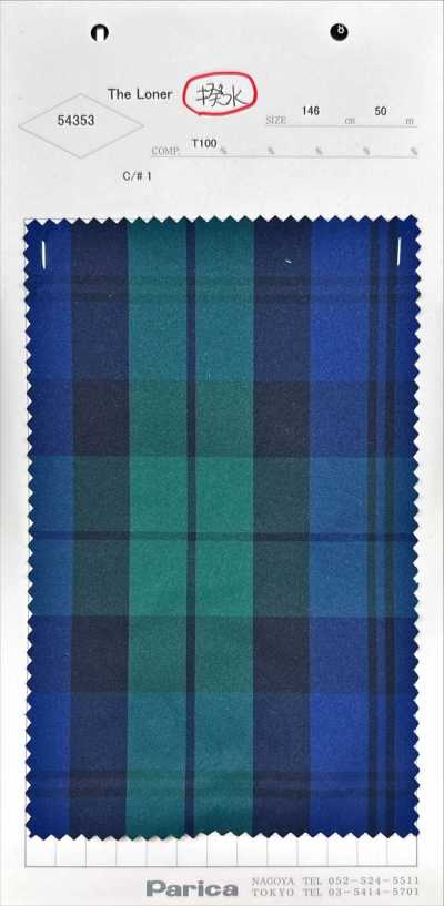54353 Le Solitaire