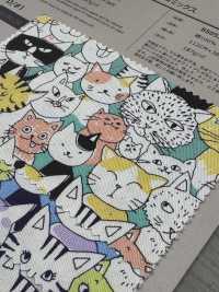 850536 SEVENBERRY® Oxford Coton écru Nyan Comics[Fabrication De Textile] VANCET Sous-photo
