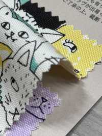 850536 SEVENBERRY® Oxford Coton écru Nyan Comics[Fabrication De Textile] VANCET Sous-photo