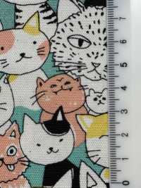 850536 SEVENBERRY® Oxford Coton écru Nyan Comics[Fabrication De Textile] VANCET Sous-photo
