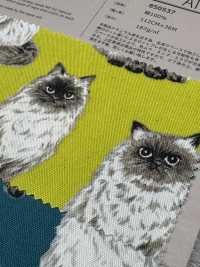 850537 Coton Oxford Himalayen Non Blanchi SEVENBERRY®[Fabrication De Textile] VANCET Sous-photo
