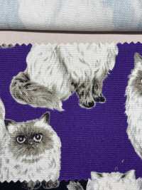 850537 Coton Oxford Himalayen Non Blanchi SEVENBERRY®[Fabrication De Textile] VANCET Sous-photo