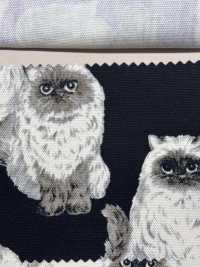 850537 Coton Oxford Himalayen Non Blanchi SEVENBERRY®[Fabrication De Textile] VANCET Sous-photo