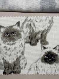 850537 Coton Oxford Himalayen Non Blanchi SEVENBERRY®[Fabrication De Textile] VANCET Sous-photo