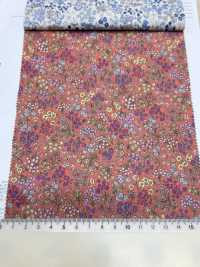 7026-600-1 60 Mini-fleurs Pour Pelouse[Fabrication De Textile] HOKKOH Sous-photo