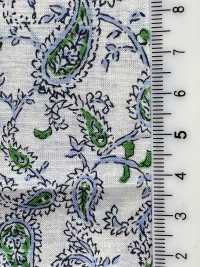 3026-650-7 60 Pelouse Paisley[Fabrication De Textile] HOKKOH Sous-photo