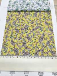 3026-650-7 60 Pelouse Paisley[Fabrication De Textile] HOKKOH Sous-photo