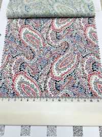 3026-650-10 60 Pelouse Paisley[Fabrication De Textile] HOKKOH Sous-photo