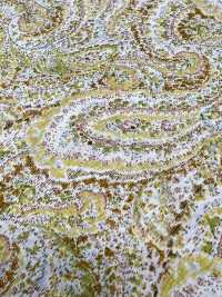 3026-650-10 60 Pelouse Paisley[Fabrication De Textile] HOKKOH Sous-photo
