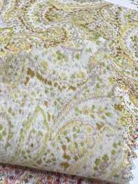 3026-650-10 60 Pelouse Paisley[Fabrication De Textile] HOKKOH Sous-photo