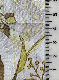4026-660-5 60 Fleurs De Pelouse Itome[Fabrication De Textile] HOKKOH Sous-photo