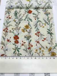8026-680-4 80 Fleurs à Rayures Miracle Wave Pour Pelouse[Fabrication De Textile] HOKKOH Sous-photo