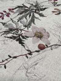 7026-700-1 Motif Floral Botanique CL Loomstate[Fabrication De Textile] HOKKOH Sous-photo