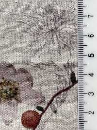 7026-700-1 Motif Floral Botanique CL Loomstate[Fabrication De Textile] HOKKOH Sous-photo