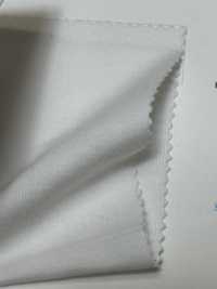 FJ200150 30/ CLEANSE Circulaire Côtes[Fabrication De Textile] Fujisaki Textile Sous-photo