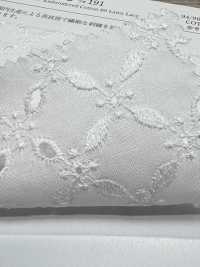 KCL522-D191 60 Dentelle De Pelouse[Fabrication De Textile] Uni Textile(Atelier Komon) Sous-photo
