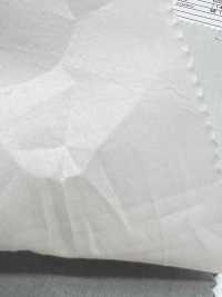 7026-636-1 80 Pelouse Sel Rétractable Sans Motif Point Sans Motif[Fabrication De Textile] HOKKOH Sous-photo
