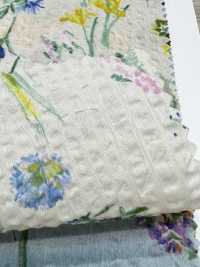 7026-620-4 80 Pelouse Miracle Wave Botanical[Fabrication De Textile] HOKKOH Sous-photo