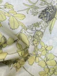 3026-650-6 60 Pelouse[Fabrication De Textile] HOKKOH Sous-photo