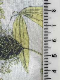 3026-650-6 60 Pelouse[Fabrication De Textile] HOKKOH Sous-photo
