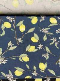 KTS6951 Imprimé Citron Avec Branche En Popeline[Fabrication De Textile] Sous-photo