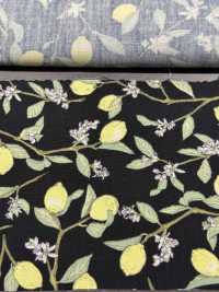 KTS6951 Imprimé Citron Avec Branche En Popeline[Fabrication De Textile] Sous-photo