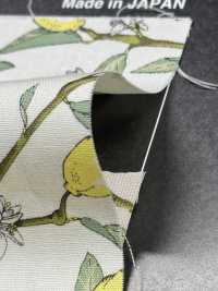 KTS6951 Imprimé Citron Avec Branche En Popeline[Fabrication De Textile] Sous-photo