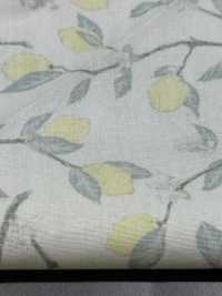 KTS6951 Imprimé Citron Avec Branche En Popeline[Fabrication De Textile] Sous-photo