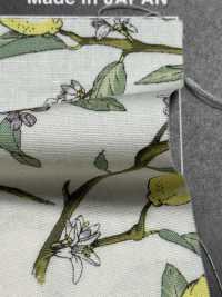 KTS6951 Imprimé Citron Avec Branche En Popeline[Fabrication De Textile] Sous-photo