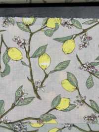 KTS6951 Imprimé Citron Avec Branche En Popeline[Fabrication De Textile] Sous-photo