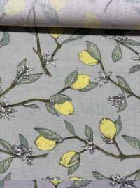 KTS6951 Imprimé Citron Avec Branche En Popeline[Fabrication De Textile] Sous-photo