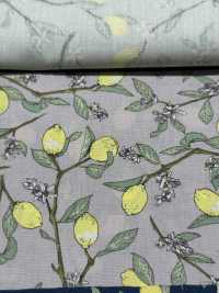 KTS6951 Imprimé Citron Avec Branche En Popeline[Fabrication De Textile] Sous-photo