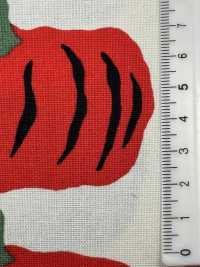 UP5910 Impression Sur Toile Citrouille 10/1[Fabrication De Textile] Sous-photo