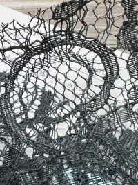 KKF8468S Une Oreille Scala Ny/Ry Lamé Cord Lace[Fabrication De Textile] Uni Textile(Atelier Komon) Sous-photo