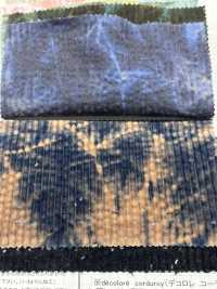 DCL658 Velours Côtelé Decolore 6W[Fabrication De Textile] Kumoi Beauty Sous-photo