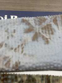 DCL658 Velours Côtelé Decolore 6W[Fabrication De Textile] Kumoi Beauty Sous-photo