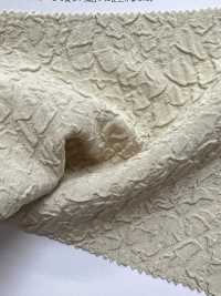 KKF1324-W-D1 Jacquard Respirant Grande Largeur[Fabrication De Textile] Uni Textile(Atelier Komon) Sous-photo
