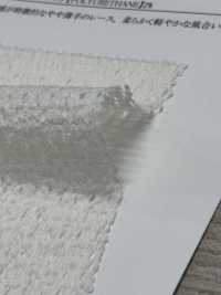 41692 Charmant Dentelle Transparente[Fabrication De Textile] SUNWELL Sous-photo