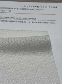 41692 Charmant Dentelle Transparente[Fabrication De Textile] SUNWELL Sous-photo