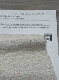 11750 Raschel En Coton Et Nylon Popcorn[Fabrication De Textile] SUNWELL Sous-photo