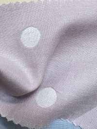 INDIA-464 Point De Gaze Double[Fabrication De Textile] ARINOBE Sous-photo