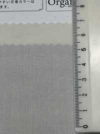 SBT-010 Chiffon De Machine à écrire Tamamushi En Coton Biologique[Fabrication De Textile] Textiles Kuwamura Sous-photo