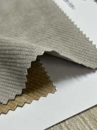 HK8014GW Velours Côtelé Diagonal, Teint Pigmentaire + OW[Fabrication De Textile] KOYAMA Sous-photo