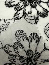 KCL525-DP-312 Dentelle En Coton 60[Fabrication De Textile] Uni Textile(Atelier Komon) Sous-photo
